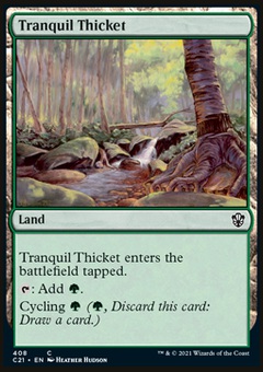 Tranquil Thicket